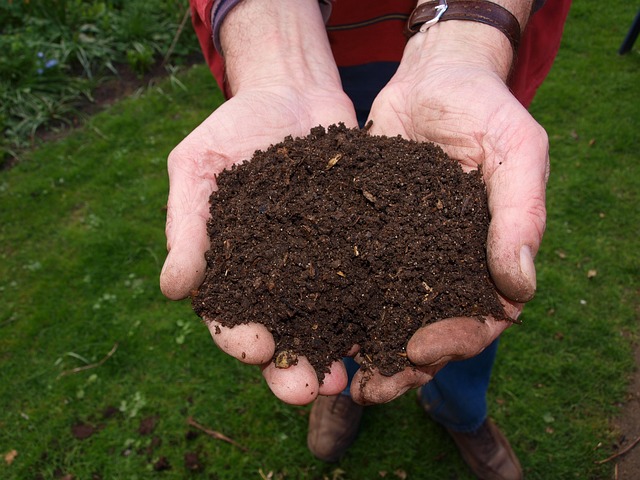 living soil